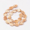Natural Sea Shell Beads SSHEL-E500-1-2