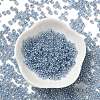 Glass Seed Beads SEED-H002-E-A1415-2