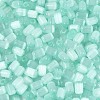 Drawbench Style Glass Seed Beads SEED-N008-10H-3