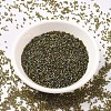 MIYUKI Delica Beads X-SEED-J020-DB1739-2