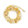 Natural Trochus Shell Beads Strands BSHE-H109-12B-3