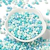 6/0 Opaque Baking Paint Glass Seed Beads X1-SEED-M012-02A-23-2