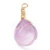 Natural Fluorite Pendants PALLOY-JF00607-2