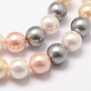 Shell Pearl Bead Strands LS-BSHE-L017-17-5