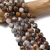 Natural Gobi Agate Beads Strands G-Z119-A36-02-1