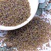 MIYUKI Round Rocailles Beads X-SEED-G007-RR0342-1