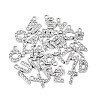 304 Stainless Steel Charms STAS-N095-137-01-2