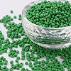 8/0 Glass Seed Beads X2-SEED-A010-3mm-47-1