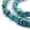 Synthetic Turquoise Beads Strands G-F465-12-3