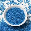 6/0 Transparent Glass Seed Beads SEED-F003-03A-02-2