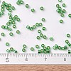 MIYUKI Delica Beads X-SEED-J020-DB0046-4