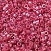 Baking Paint Glass Seed Beads SEED-S042-15A-05-3