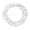 Transparent Electroplate Glass Beads Strands EGLA-F158-PL03-A-2