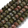 Natural Unakite Beads Strands G-Z111-A31-3