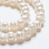 Natural Cultured Freshwater Pearl Beads Strands A02S7013-4