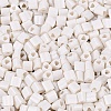 FGB Baking Paint Glass Seed Beads SEED-Q040-09A-01-3
