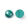 Natural Malachite Cabochons G-E557-06C-1