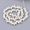 Natural Cultured Freshwater Pearl Beads Strands PEAR-Q015-035-2