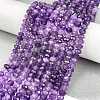 Natural Amethyst Beads Strands G-C127-B02-01-2