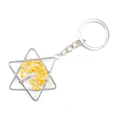 Gemstone Keychains PW-WG361CF-04-1
