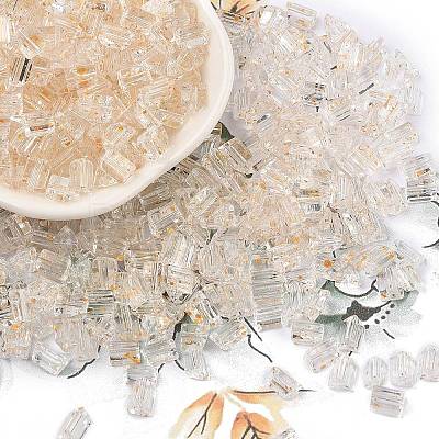 Transparent Spray Painted Glass Seed Beads SEED-L011-10A-05-1