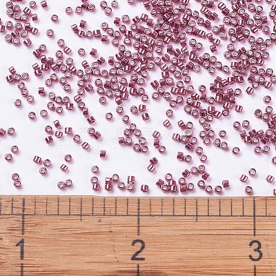 MIYUKI Delica Beads SEED-J020-DB0428-1