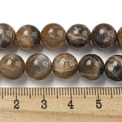 Natural Black Moonstone Beads Strands G-Q183-A01-02-1