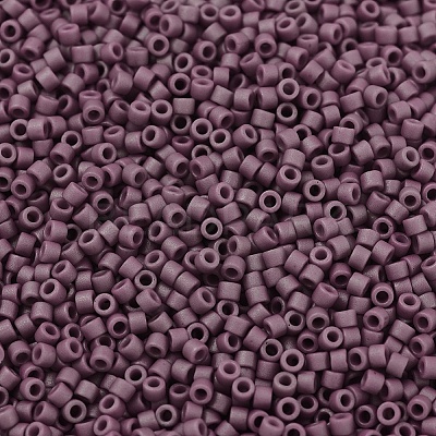 MIYUKI Delica Beads SEED-MY11-DB2295-1