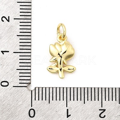Brass Pendants KK-I364-44G-1