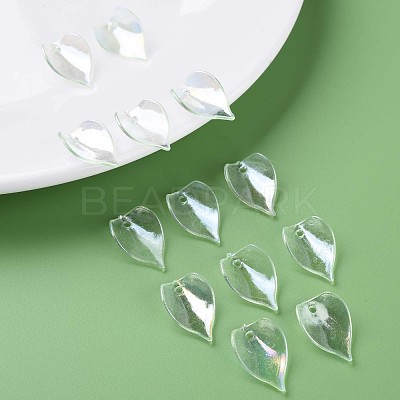 Transparent Acrylic Beads MACR-S373-103-C04-1