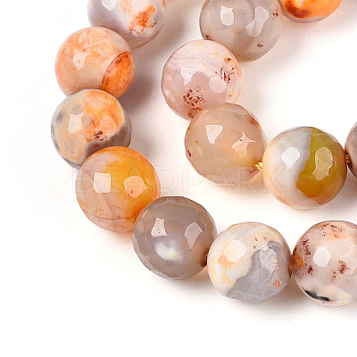Dyed & Heated Natural Fire Crackle Agate Beads Strands G-N359-01B-10-1