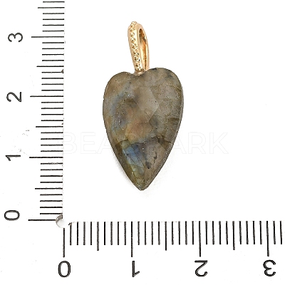 Natural Labradorite Pendants G-C290-01D-1