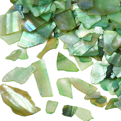 Natural Abalone/Paua Shell Mica Fragment MRMJ-N026-001-A04-1