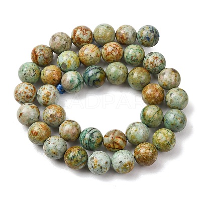 Natural Peruvian Turquoise(Jasper) Beads Strands G-T150-A01-10mm-1