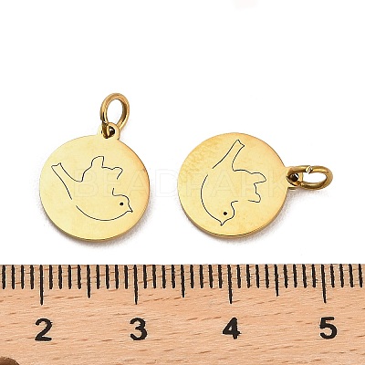 304 Stainless Steel Charms STAS-D050-07G-05-1