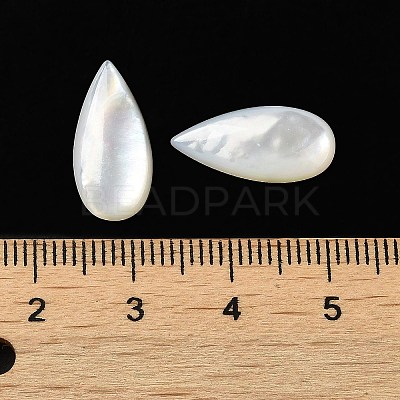 Natural White Shell Cabochons SSHEL-M022-04-1
