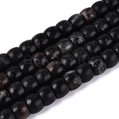 Natural Biotite Beads Strands G-Q616-02A-12-1