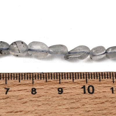 Natural Labradorite Nuggets Beads Strands X-G-J335-40-1