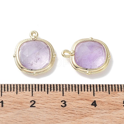 Natural Amethyst Pendants G-G012-09C-02-1