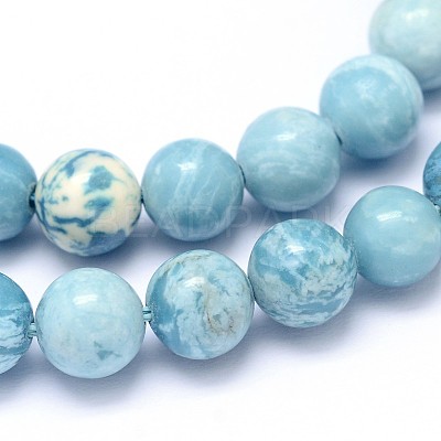 Natural Gemstone Beads Strands G-L367-01-10mm-1