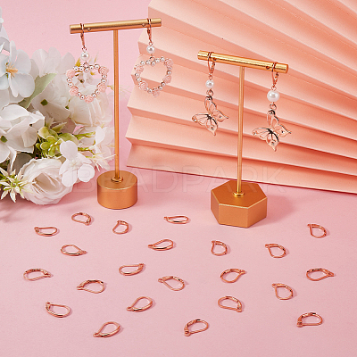 50Pcs 304 Stainless Steel Leverback Earring Findings STAS-BBC0005-30-1