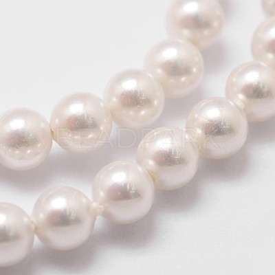 Shell Pearl Bead Strands X-BSHE-L025-01-4mm-1