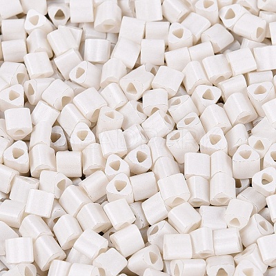 FGB Baking Paint Glass Seed Beads SEED-Q040-09A-01-1