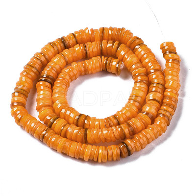 Natural Freshwater Shell Beads Strands SHEL-Q024-001H-1