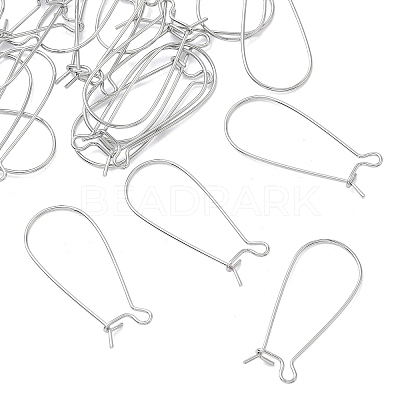 SHEGRACE Brass Kidney Ear Wire XGR0004P-43P-1
