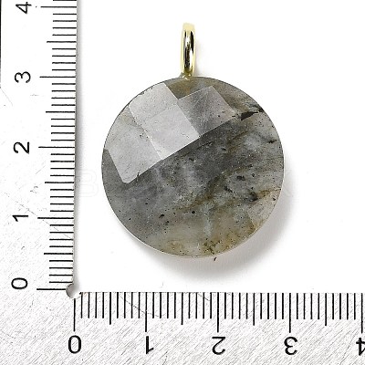 Natural Labradorite Faceted Pendants G-A287-02G-02-1