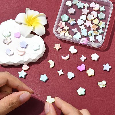 60Pcs 6 Styles Macaron Color Natural Shell Dyed Beads BSHE-CJ0001-13-1