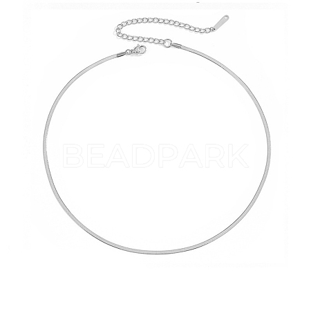 Titanium Steel Snake Bone Chain Necklace WG20151-04-1