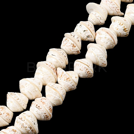 Natural Shell Bead Strands X-BSHE-O016-04-01-1