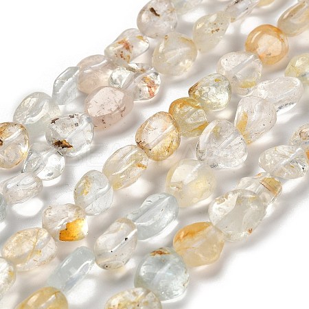 Natural Topaz Beads Strands G-P497-01E-53-1